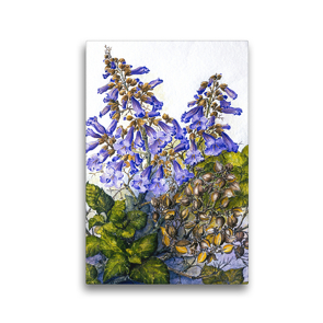 Premium Textil-Leinwand 30 x 45 cm Hoch-Format Landesarboretum Hohenheim/Weinbaugebiete: Paulownia tomentosa,Blauglockenbaum | Wandbild, HD-Bild auf Keilrahmen, Fertigbild auf hochwertigem Vlies, Leinwanddruck von Annemarie Meindl