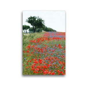 Premium Textil-Leinwand 30 x 45 cm Hoch-Format Mohnfeld. Landschaft im Havelland. | Wandbild, HD-Bild auf Keilrahmen, Fertigbild auf hochwertigem Vlies, Leinwanddruck von Anja Frost