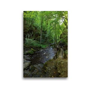 Premium Textil-Leinwand 30 x 45 cm Hoch-Format Wanderweg am Ehrbach | Wandbild, HD-Bild auf Keilrahmen, Fertigbild auf hochwertigem Vlies, Leinwanddruck von Anja Frost