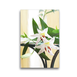 Premium Textil-Leinwand 30 x 45 cm Hoch-Format Weiße Lilien liegen auf einem Tisch | Wandbild, HD-Bild auf Keilrahmen, Fertigbild auf hochwertigem Vlies, Leinwanddruck von Gisela Kruse