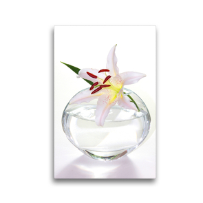Premium Textil-Leinwand 30 x 45 cm Hoch-Format Weiße Lilienblüte in einer Glasvase | Wandbild, HD-Bild auf Keilrahmen, Fertigbild auf hochwertigem Vlies, Leinwanddruck von Gisela Kruse
