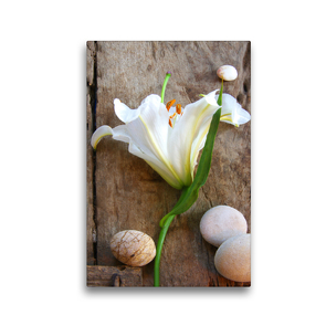Premium Textil-Leinwand 30 x 45 cm Hoch-Format Weiße Lilienblüte und Steine auf altem Holz | Wandbild, HD-Bild auf Keilrahmen, Fertigbild auf hochwertigem Vlies, Leinwanddruck von Gisela Kruse