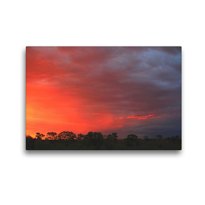 Premium Textil-Leinwand 45 x 30 cm Quer-Format Abendstimmung nahe der Etosha-Pfanne, Namibia | Wandbild, HD-Bild auf Keilrahmen, Fertigbild auf hochwertigem Vlies, Leinwanddruck von Dr. Werner Altner