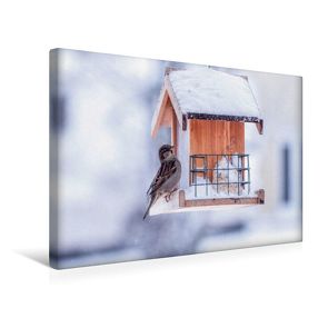 Premium Textil-Leinwand 45 x 30 cm Quer-Format Am Vogelhaus | Wandbild, HD-Bild auf Keilrahmen, Fertigbild auf hochwertigem Vlies, Leinwanddruck von Marianne Drews von Drews,  Marianne