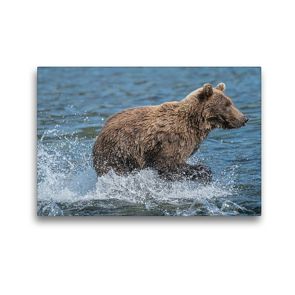 Premium Textil-Leinwand 45 x 30 cm Quer-Format Auf ins Wasser, der Lachsrun hat begonnen! | Wandbild, HD-Bild auf Keilrahmen, Fertigbild auf hochwertigem Vlies, Leinwanddruck von Photo4emotion.com