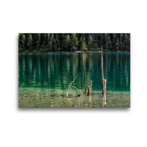 Premium Textil-Leinwand 45 x 30 cm Quer-Format Baumreste am Nordufer unweit vom Dolomitenblick | Wandbild, HD-Bild auf Keilrahmen, Fertigbild auf hochwertigem Vlies, Leinwanddruck von Werner Braun