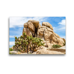 Premium Textil-Leinwand 45 x 30 cm Quer-Format Beeindruckender Joshua Tree National Park | Wandbild, HD-Bild auf Keilrahmen, Fertigbild auf hochwertigem Vlies, Leinwanddruck von Melanie Viola