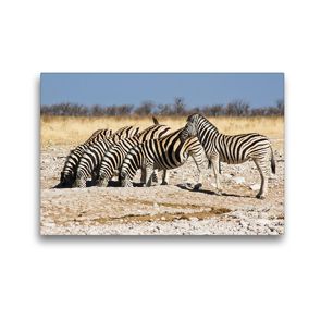 Premium Textil-Leinwand 45 x 30 cm Quer-Format Burchell Zebras an einem Wasserloch im Etosha National Park | Wandbild, HD-Bild auf Keilrahmen, Fertigbild auf hochwertigem Vlies, Leinwanddruck von Juergen Woehlke