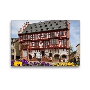 Premium Textil-Leinwand 45 x 30 cm Quer-Format Congress Park | Wandbild, HD-Bild auf Keilrahmen, Fertigbild auf hochwertigem Vlies, Leinwanddruck von Petrus Bodenstaff