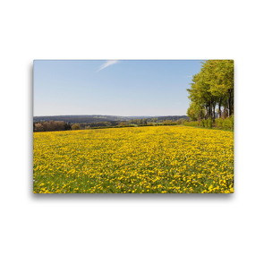 Premium Textil-Leinwand 45 x 30 cm Quer-Format Eifel – Blumenwiesen Happiness | Wandbild, HD-Bild auf Keilrahmen, Fertigbild auf hochwertigem Vlies, Leinwanddruck von Gaby Wojciech