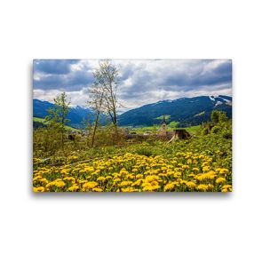 Premium Textil-Leinwand 45 x 30 cm Quer-Format Eine Löwenzahnwiese auf der Kaiserpromenade | Wandbild, HD-Bild auf Keilrahmen, Fertigbild auf hochwertigem Vlies, Leinwanddruck von Christa Kramer