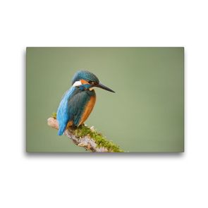 Premium Textil-Leinwand 45 x 30 cm Quer-Format Eisvogel | Wandbild, HD-Bild auf Keilrahmen, Fertigbild auf hochwertigem Vlies, Leinwanddruck von Johann Schörkhuber