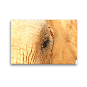 Premium Textil-Leinwand 45 x 30 cm Quer-Format Elefantenauge | Wandbild, HD-Bild auf Keilrahmen, Fertigbild auf hochwertigem Vlies, Leinwanddruck von Barbara Fraatz