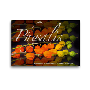 Premium Textil-Leinwand 45 x 30 cm Quer-Format Emotionale Momente: Physalis. | Wandbild, HD-Bild auf Keilrahmen, Fertigbild auf hochwertigem Vlies, Leinwanddruck von Ingo Gerlach