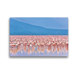 Premium Textil-Leinwand 45 x 30 cm Quer-Format Flamingos im Rift Valley | Wandbild, HD-Bild auf Keilrahmen, Fertigbild auf hochwertigem Vlies, Leinwanddruck von Jürgen Feuerer