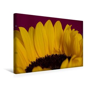 Premium Textil-Leinwand 45 x 30 cm Quer-Format Flower-Power | Wandbild, HD-Bild auf Keilrahmen, Fertigbild auf hochwertigem Vlies, Leinwanddruck von Andreas Levi – PHOTOmedia++ von Levi - PHOTOmedia++,  Andreas