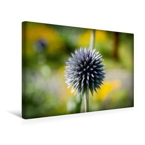 Premium Textil-Leinwand 45 x 30 cm Quer-Format Flower-Power | Wandbild, HD-Bild auf Keilrahmen, Fertigbild auf hochwertigem Vlies, Leinwanddruck von Andreas Levi – PHOTOmedia++ von Levi - PHOTOmedia++,  Andreas