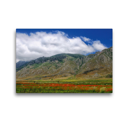 Premium Textil-Leinwand 45 x 30 cm Quer-Format Franshoekberg, Hottentots Holland Nature Reserve, Südafrika | Wandbild, HD-Bild auf Keilrahmen, Fertigbild auf hochwertigem Vlies, Leinwanddruck von Christian Heeb