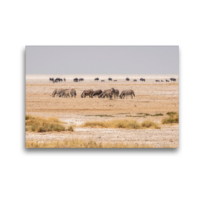 Premium Textil-Leinwand 45 x 30 cm Quer-Format Gnus und Zebras im Etosha-Nationalpark in Namibia | Wandbild, HD-Bild auf Keilrahmen, Fertigbild auf hochwertigem Vlies, Leinwanddruck von Hans Seidl