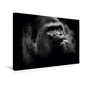 Premium Textil-Leinwand 45 x 30 cm Quer-Format Gorilla | Wandbild, HD-Bild auf Keilrahmen, Fertigbild auf hochwertigem Vlies, Leinwanddruck von Ulrich Brodde von Brodde,  Ulrich