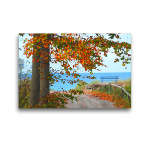 Premium Textil-Leinwand 45 x 30 cm Quer-Format Herbst auf der Halbinsel Fischland-Darss-Zingst | Wandbild, HD-Bild auf Keilrahmen, Fertigbild auf hochwertigem Vlies, Leinwanddruck von Claudia Schimmack