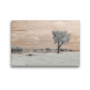 Premium Textil-Leinwand 45 x 30 cm Quer-Format Hitzacker als Infrarot-Fotografie | Wandbild, HD-Bild auf Keilrahmen, Fertigbild auf hochwertigem Vlies, Leinwanddruck von Heike Langenkamp