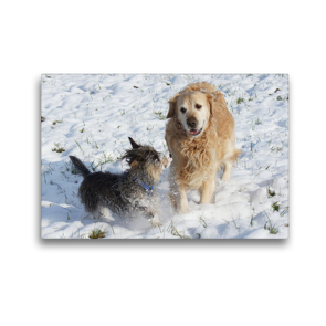 Premium Textil-Leinwand 45 x 30 cm Quer-Format Hundefreundschaft im Winter | Wandbild, HD-Bild auf Keilrahmen, Fertigbild auf hochwertigem Vlies, Leinwanddruck von Kattobello