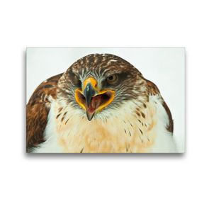 Premium Textil-Leinwand 45 x 30 cm Quer-Format Koenigsraufussbussard – Buteo regalis | Wandbild, HD-Bild auf Keilrahmen, Fertigbild auf hochwertigem Vlies, Leinwanddruck von Dirk Grasse