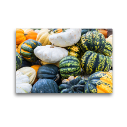 Premium Textil-Leinwand 45 x 30 cm Quer-Format Kurbis Sorten Patisson, Sweet Dumpling, Accorn und Halloween | Wandbild, HD-Bild auf Keilrahmen, Fertigbild auf hochwertigem Vlies, Leinwanddruck von Dieter Meyer