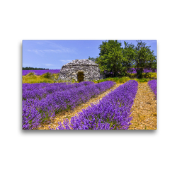 Premium Textil-Leinwand 45 x 30 cm Quer-Format Lavendefeld mit Steinhütte | Wandbild, HD-Bild auf Keilrahmen, Fertigbild auf hochwertigem Vlies, Leinwanddruck von Jürgen Feuerer