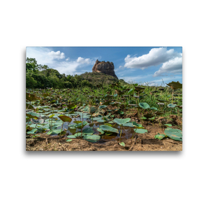 Premium Textil-Leinwand 45 x 30 cm Quer-Format Lotusfeld vor der Felsenfestung Sigiriya | Wandbild, HD-Bild auf Keilrahmen, Fertigbild auf hochwertigem Vlies, Leinwanddruck von Peter Hennrich