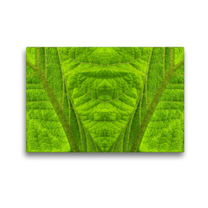 Premium Textil-Leinwand 45 x 30 cm Quer-Format Mammutbaum | Wandbild, HD-Bild auf Keilrahmen, Fertigbild auf hochwertigem Vlies, Leinwanddruck von Dagmar Laimgruber