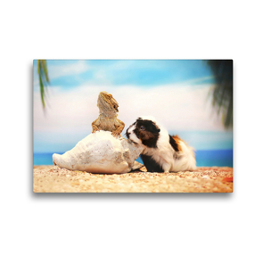 Premium Textil-Leinwand 45 x 30 cm Quer-Format Meerschweinchen 2020 | Wandbild, HD-Bild auf Keilrahmen, Fertigbild auf hochwertigem Vlies, Leinwanddruck von Anja Foto Grafia Fotografie