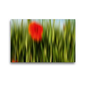Premium Textil-Leinwand 45 x 30 cm Quer-Format MohnARTig | Wandbild, HD-Bild auf Keilrahmen, Fertigbild auf hochwertigem Vlies, Leinwanddruck von Martina Marten