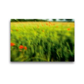 Premium Textil-Leinwand 45 x 30 cm Quer-Format MohnARTig | Wandbild, HD-Bild auf Keilrahmen, Fertigbild auf hochwertigem Vlies, Leinwanddruck von Martina Marten