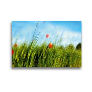 Premium Textil-Leinwand 45 x 30 cm Quer-Format MohnARTig | Wandbild, HD-Bild auf Keilrahmen, Fertigbild auf hochwertigem Vlies, Leinwanddruck von Martina Marten