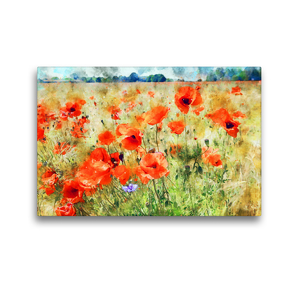 Premium Textil-Leinwand 45 x 30 cm Quer-Format Mohnblumen auf einem Feld. | Wandbild, HD-Bild auf Keilrahmen, Fertigbild auf hochwertigem Vlies, Leinwanddruck von Anja Frost