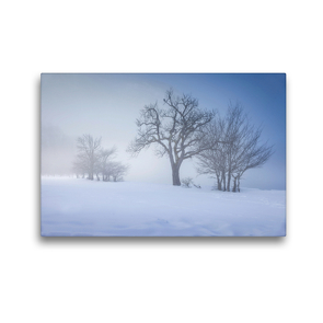 Premium Textil-Leinwand 45 x 30 cm Quer-Format Nebelbäume am Königssee | Wandbild, HD-Bild auf Keilrahmen, Fertigbild auf hochwertigem Vlies, Leinwanddruck von Christian Müringer