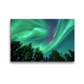 Premium Textil-Leinwand 45 x 30 cm Quer-Format Nordlichter im Wald | Wandbild, HD-Bild auf Keilrahmen, Fertigbild auf hochwertigem Vlies, Leinwanddruck von Pierre Oesterle