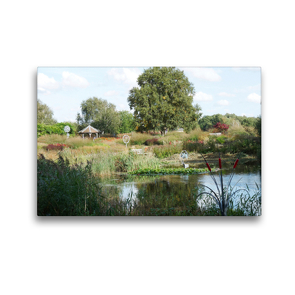 Premium Textil-Leinwand 45 x 30 cm Quer-Format Pensthorpe Natural Park mit Skulpturen von Jenny Pickford, Norfolk, England | Wandbild, HD-Bild auf Keilrahmen, Fertigbild auf hochwertigem Vlies, Leinwanddruck von Gisela Kruse