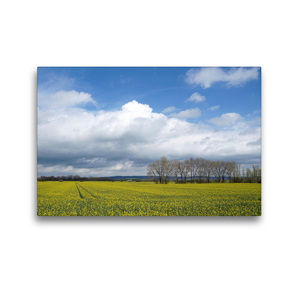 Premium Textil-Leinwand 45 x 30 cm Quer-Format Rapsfelder um Donndorf | Wandbild, HD-Bild auf Keilrahmen, Fertigbild auf hochwertigem Vlies, Leinwanddruck von Flori0