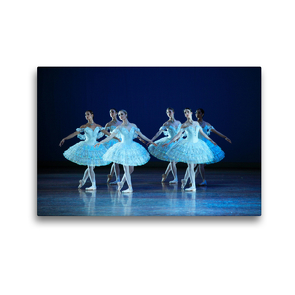 Premium Textil-Leinwand 45 x 30 cm Quer-Format Sechs Ballettösen | Wandbild, HD-Bild auf Keilrahmen, Fertigbild auf hochwertigem Vlies, Leinwanddruck von Uli Landsherr