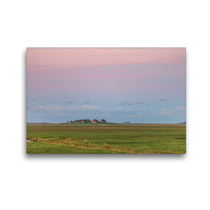 Premium Textil-Leinwand 45 x 30 cm Quer-Format Sonnenaufgang auf der Hallig Langeneß | Wandbild, HD-Bild auf Keilrahmen, Fertigbild auf hochwertigem Vlies, Leinwanddruck von Annett Mirsberger