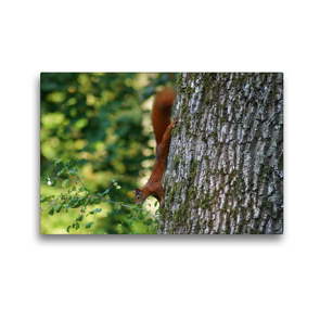 Premium Textil-Leinwand 45 x 30 cm Quer-Format Steiler Abgang | Wandbild, HD-Bild auf Keilrahmen, Fertigbild auf hochwertigem Vlies, Leinwanddruck von kattobello