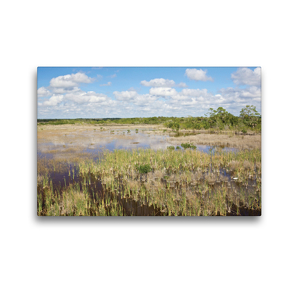 Premium Textil-Leinwand 45 x 30 cm Quer-Format Ten Thousand Islands National Wildlife Refuge – Marsh Trail | Wandbild, HD-Bild auf Keilrahmen, Fertigbild auf hochwertigem Vlies, Leinwanddruck von Klaus Feske