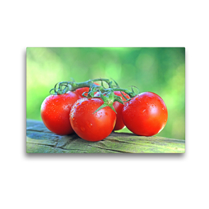 Premium Textil-Leinwand 45 x 30 cm Quer-Format Tomaten | Wandbild, HD-Bild auf Keilrahmen, Fertigbild auf hochwertigem Vlies, Leinwanddruck von Sarnade