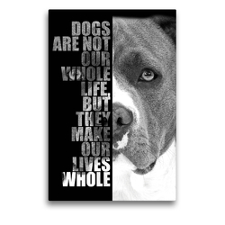 Premium Textil-Leinwand 50 x 75 cm Hoch-Format American Staffordshire Terrier | Wandbild, HD-Bild auf Keilrahmen, Fertigbild auf hochwertigem Vlies, Leinwanddruck von Wilsigns.com – Nicole Hahn