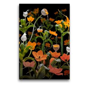 Premium Textil-Leinwand 50 x 75 cm Hoch-Format Caltha palustris | Wandbild, HD-Bild auf Keilrahmen, Fertigbild auf hochwertigem Vlies, Leinwanddruck von Olaf Bruhn