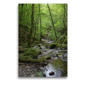 Premium Textil-Leinwand 50 x 75 cm Hoch-Format Ehrbach in der Ehrbachklamm im Hunsrück | Wandbild, HD-Bild auf Keilrahmen, Fertigbild auf hochwertigem Vlies, Leinwanddruck von Anja Frost