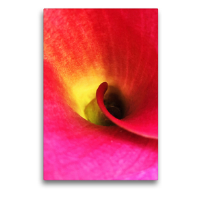 Premium Textil-Leinwand 50 x 75 cm Hoch-Format Farbenträume / Calla | Wandbild, HD-Bild auf Keilrahmen, Fertigbild auf hochwertigem Vlies, Leinwanddruck von photografie-iam.ch